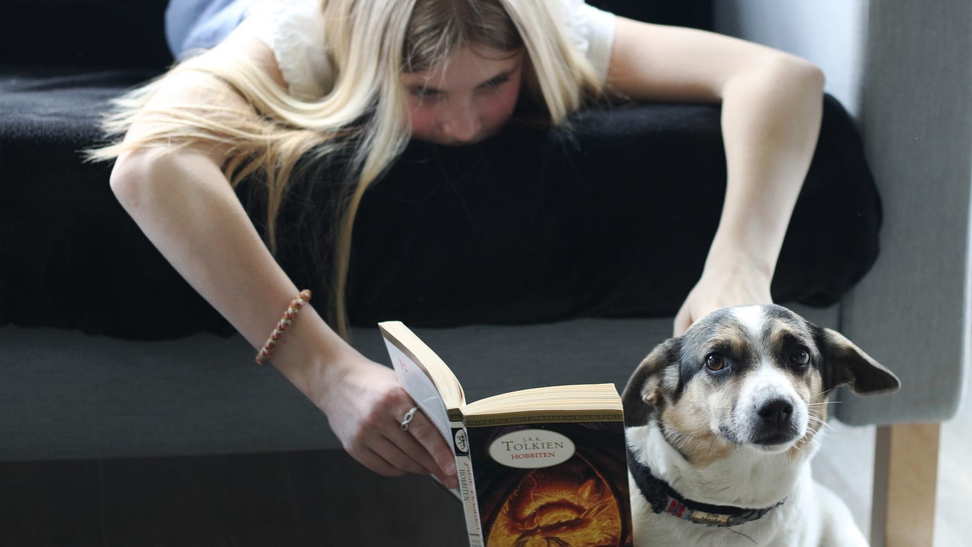 Rayne Parker’s Courage Shines in Stephanie Colbert’s Fire Demon — The Raynes Legacy Series Begins